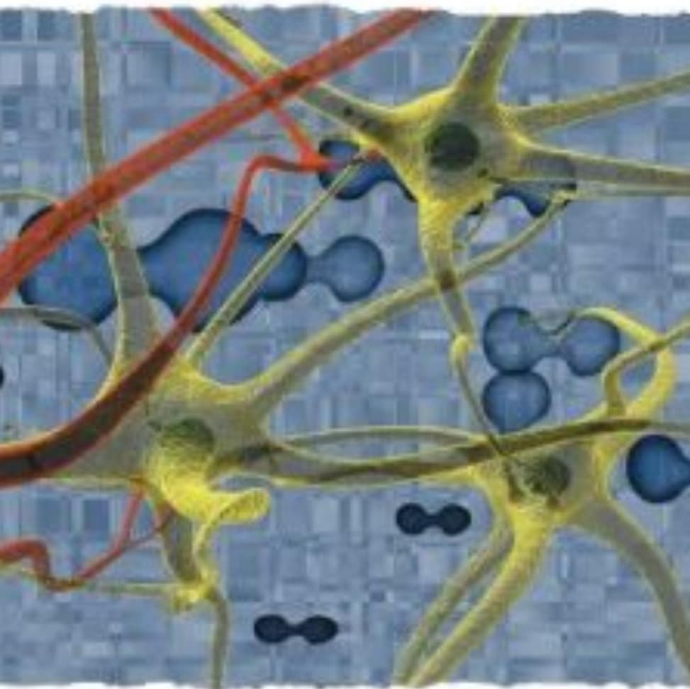 What we Do image for Guided Imagery Lifespark Cancer Resources